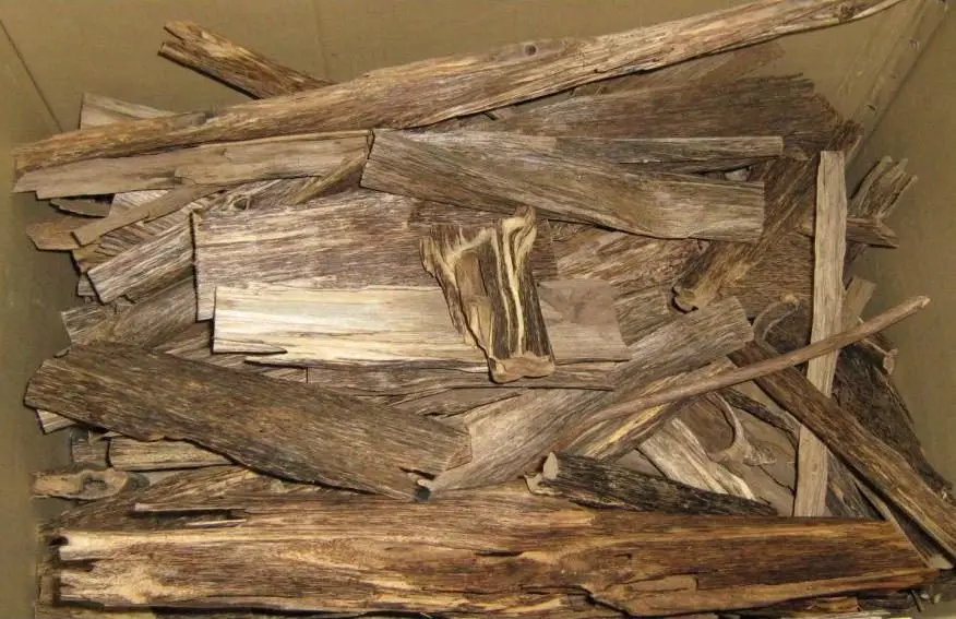 Agarwood top grade