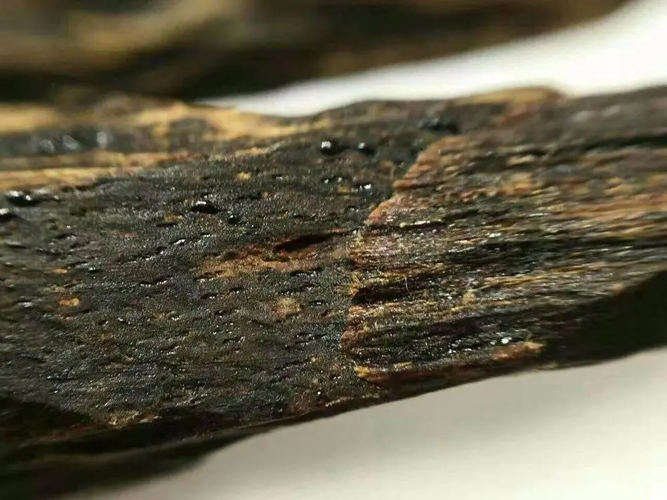 A dark, resin-saturated piece of kyara agarwood