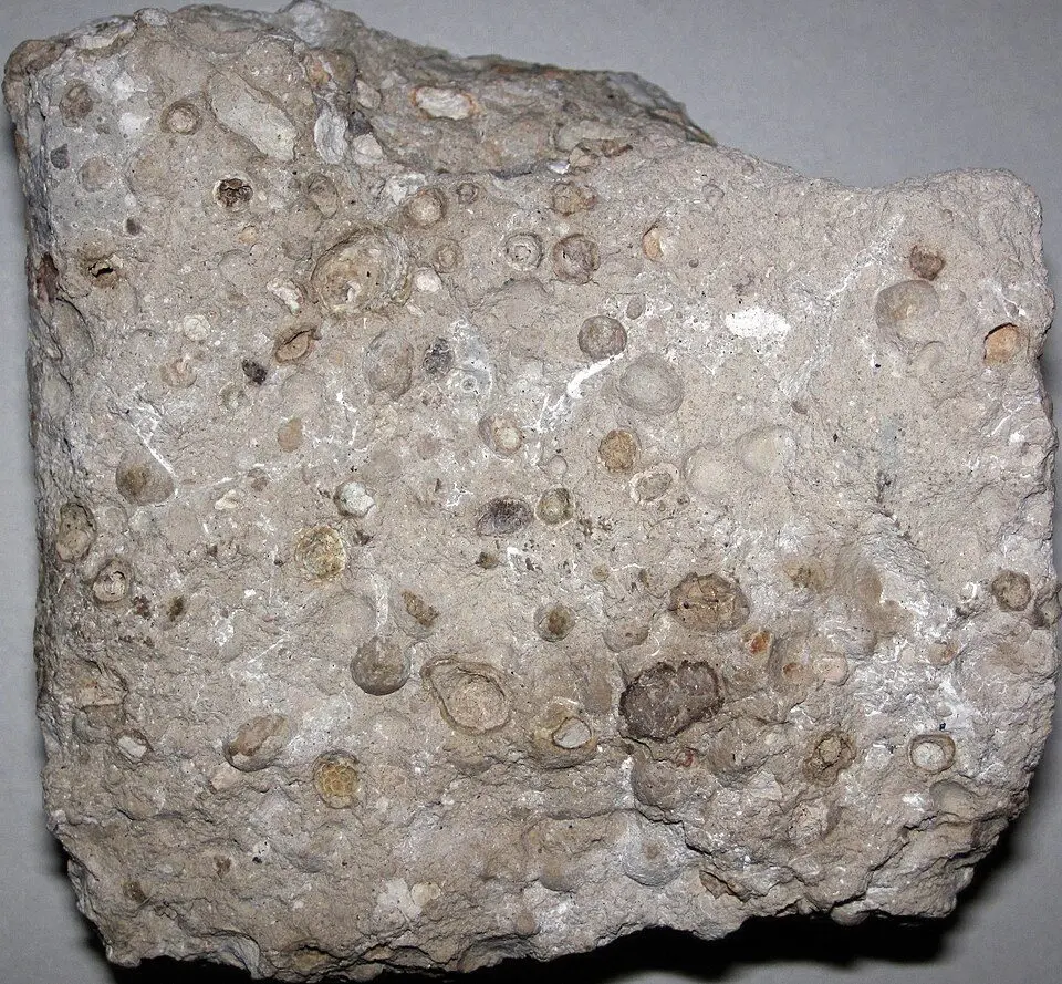 File:Pisolitic bauxite (Alcoa Bauxite Mine, Arkansas, USA) 1.jpg
