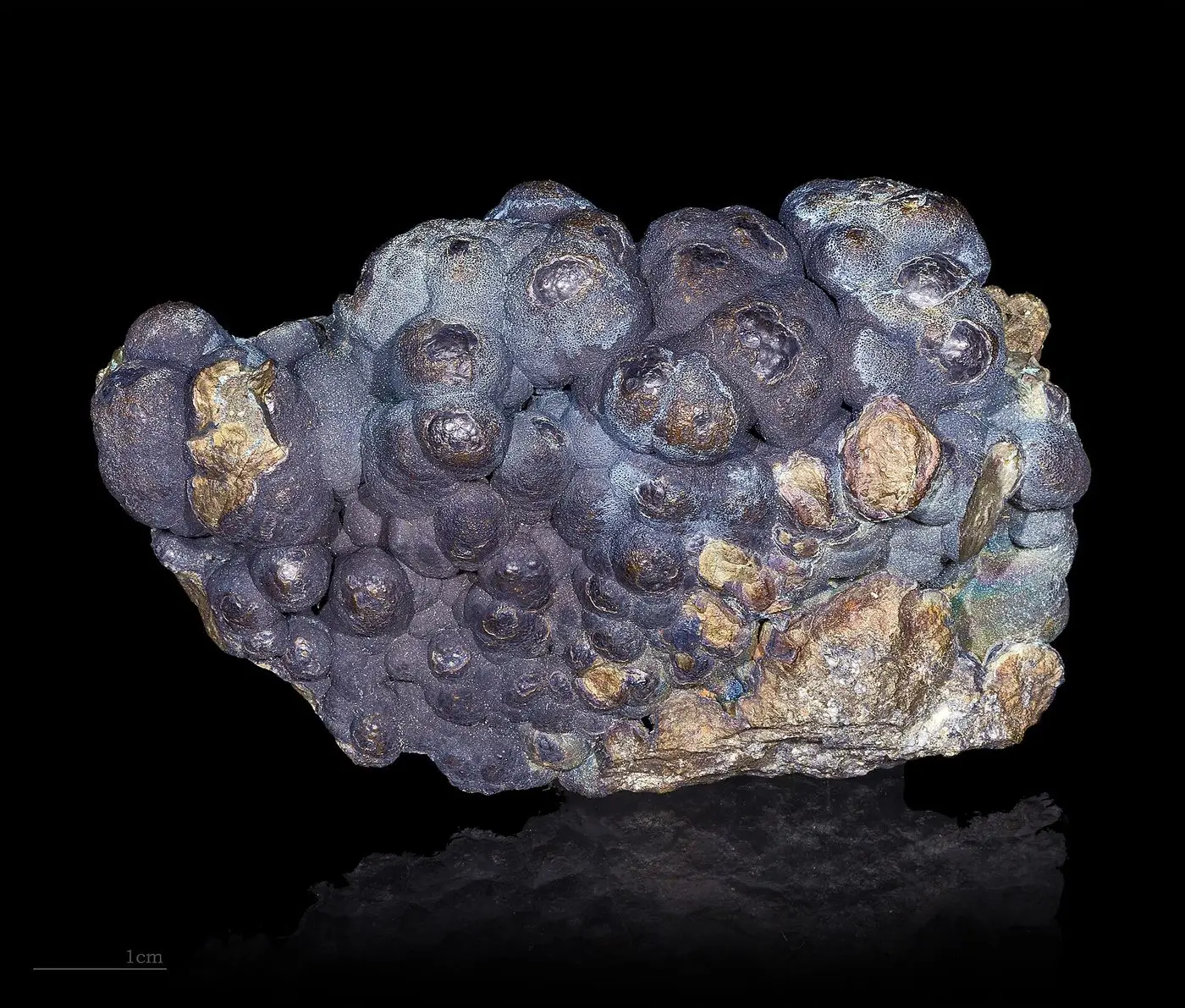 File:Chalcopyrite botroïdale.jpg