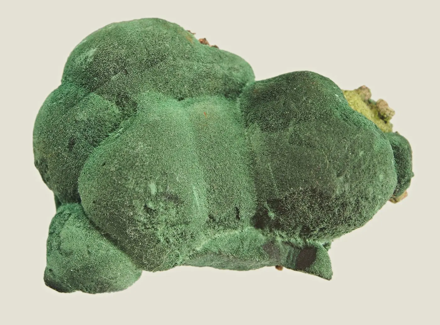 File:Malachite Specimen 26.JPG