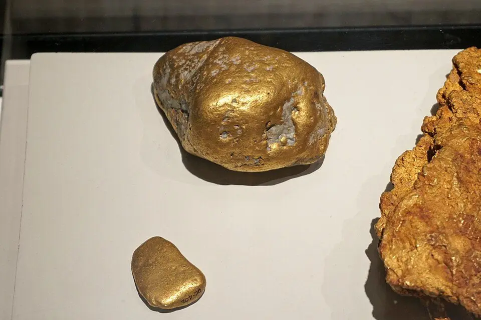 File:Largest gold nugget Sierpe Gold Museum BCCR CRI 12 2019 3578.jpg
