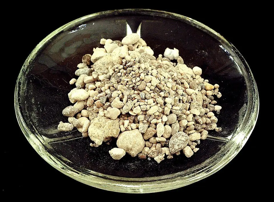 File:Phosphorite (GeoDIL number - 493).jpg